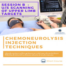Chemoneurolysis Injection Techniques with US/ES Guidance - Session B : Ultrasound scanning of common targets in upper extremity
