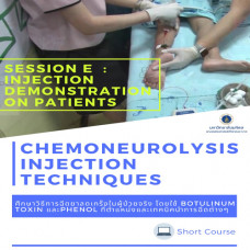 Chemoneurolysis Injection Techniques with US/ES Guidance - Session E : Injection demonstration on patients
